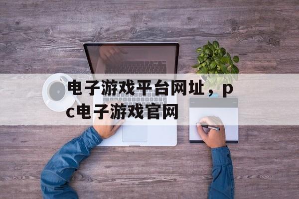 电子游戏平台网址，pc电子游戏官网